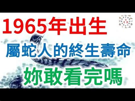 1965屬什麼|1965年屬什麼生肖